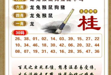 2025123期香港彩九肖30码中特