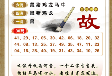 2025001期香港彩九肖30码中特