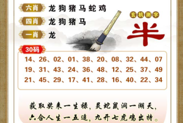 2026013期香港彩九肖30码中特