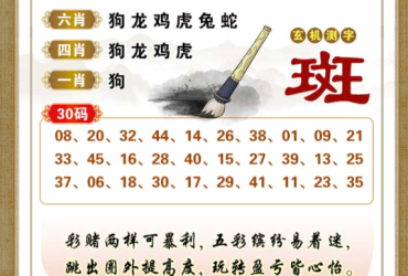 2026019期香港彩九肖30码中特