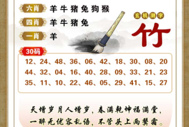 2026027期香港彩九肖30码中特