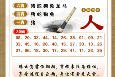 2026065期香港彩九肖30码中特