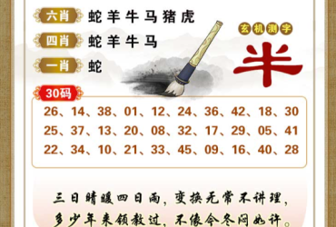 2026066期香港彩九肖30码中特