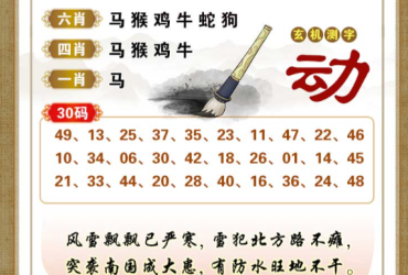 2026077期香港彩九肖30码中特
