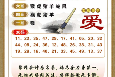 2026082期香港彩九肖30码中特