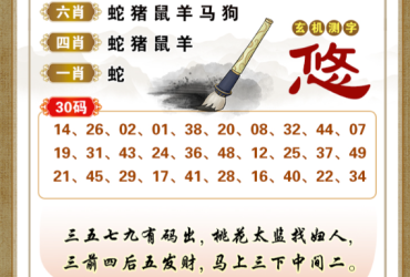 2026099期香港彩九肖30码中特