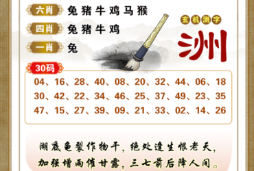 2026113期香港彩九肖30码中特