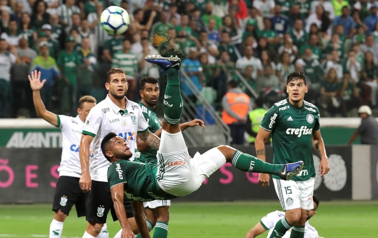 🥀2026🎱世界杯🐔让球开户🚭圣保罗vs戈亚尼亚竞技比分 🏆hg08体育38368·CC🎁 