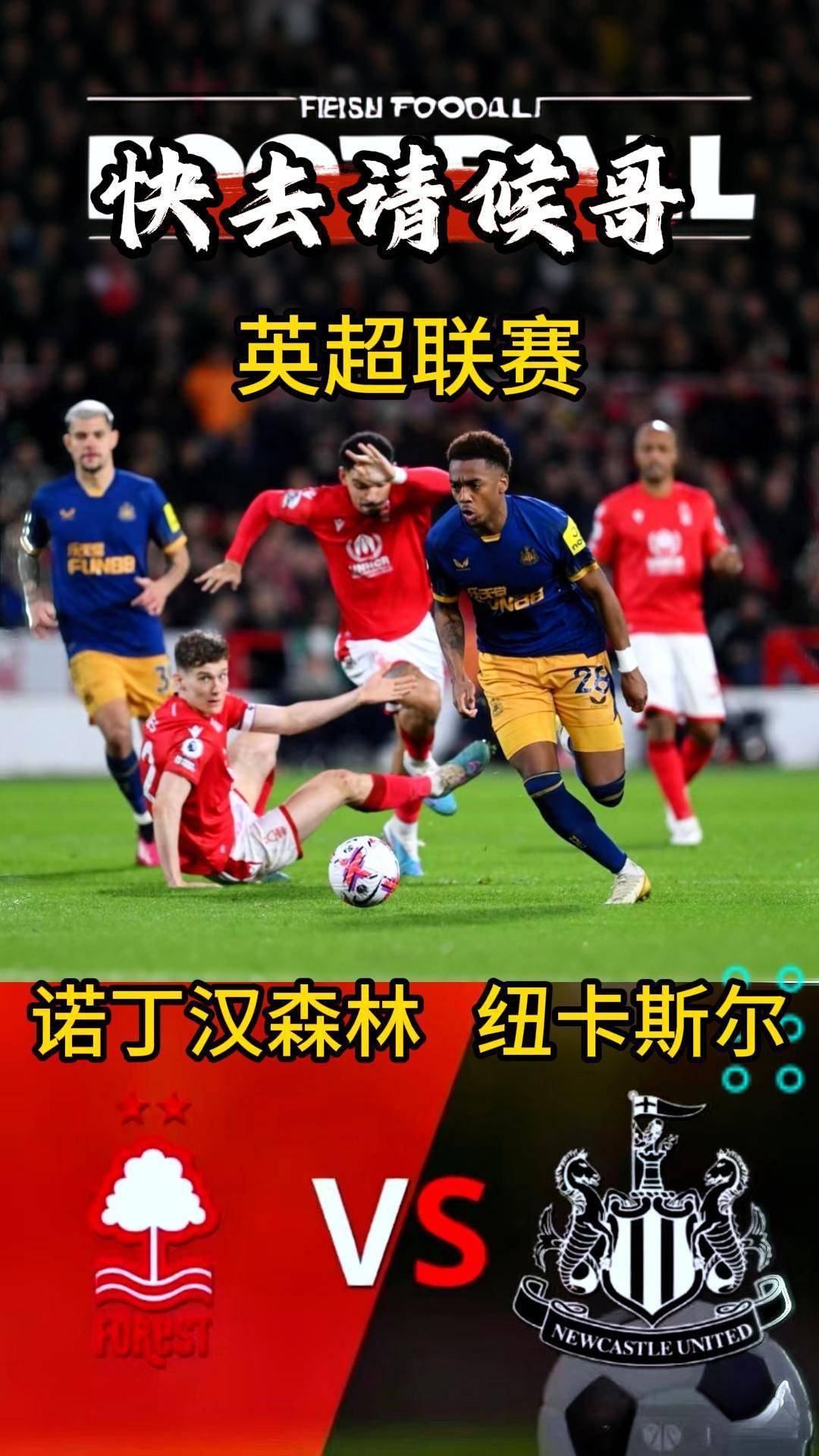 🥀2026🎱世界杯🐔让球开户🚭布莱顿VS诺丁汉森林阵容预测 🏆hg08体育38368·CC🎁 